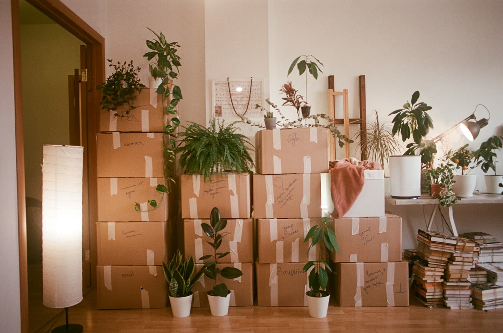 Labeled moving boxes stacked in an emptied apartment